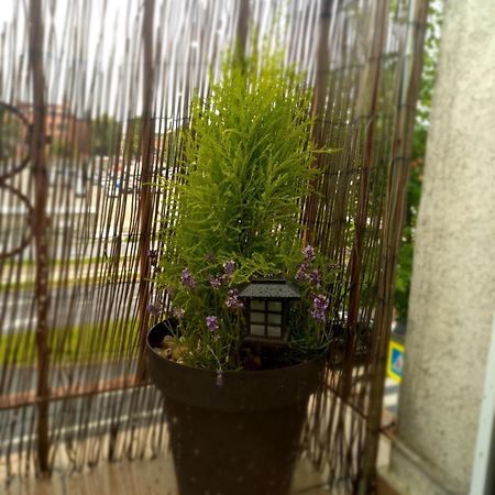 Apartamento Katarzyny11 Stary Toruń Exterior foto